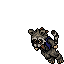 Rascoohan male