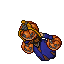 Royal Pumpkin female