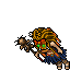 Shaman — Feminino