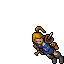 Warrior — Feminino